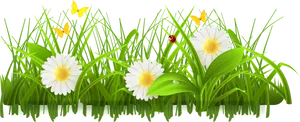 Springtime Meadow Scene PNG Image