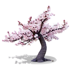 Springtime Sakura Tree Scenery Png Llu PNG Image