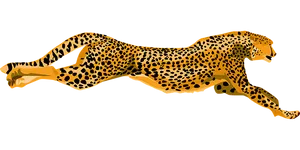 Sprinting Cheetah Illustration PNG Image