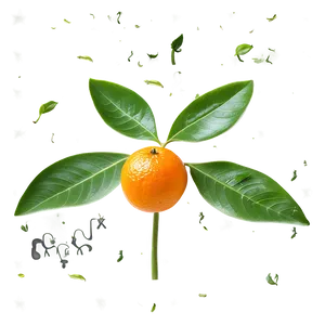 Sprouting Orange Tree Png Pls PNG Image