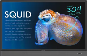 Squid Educational Display PNG Image