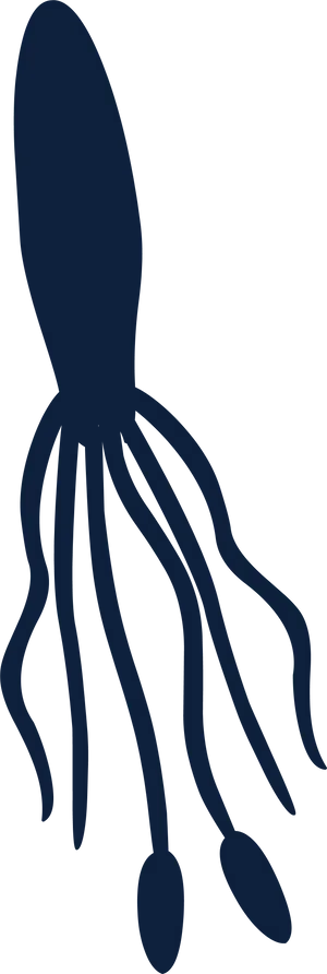 Squid Silhouette Graphic PNG Image