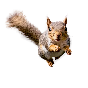 Squirrel In Flight Png 06262024 PNG Image