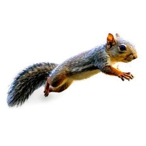 Squirrel In Flight Png Yft10 PNG Image