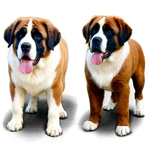 St Bernard A PNG Image