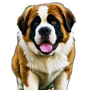 St Bernard B PNG Image