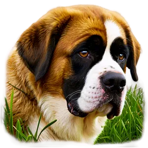 St Bernard D PNG Image