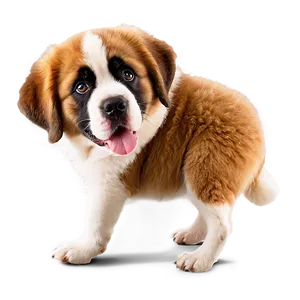 St Bernard Dog Png 72 PNG Image