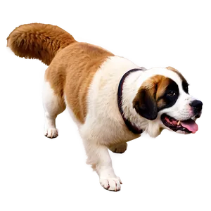 St Bernard Dog Png Btv PNG Image