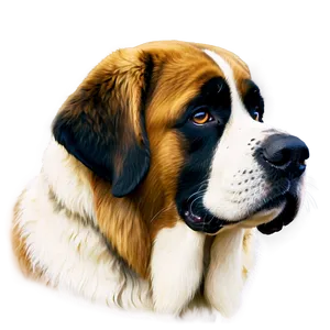 St Bernard Gentle Eyes Png 79 PNG Image