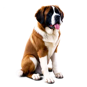 St Bernard Sitting Pretty Png Wuj46 PNG Image