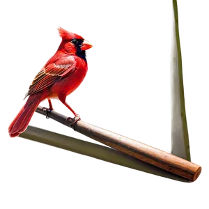 St. Louis Cardinals Logo Png 06252024 PNG Image