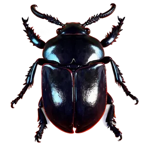 Stag Beetle Silhouette Png 10 PNG Image