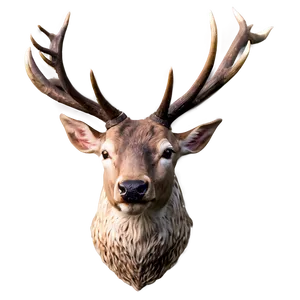 Stag Head Profile Png Pbw11 PNG Image