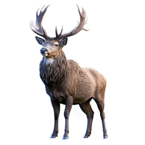 Stag In Mist Png Yob PNG Image