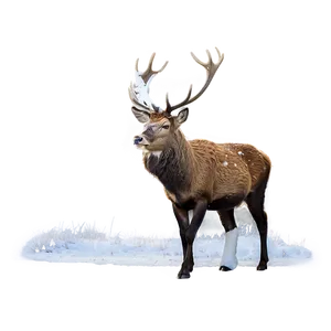 Stag In Snow Png Hok86 PNG Image