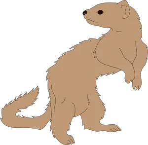 Standing Ferret Illustration PNG Image