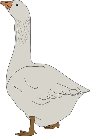 Standing Goose Illustration.png PNG Image