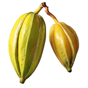 Star Fruit C PNG Image