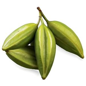 Star Fruit Detail Png Vda PNG Image