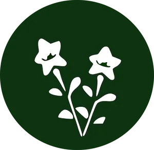 Star Shaped Flowers Icon PNG Image