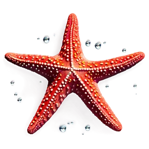 Starfish Clipart Png Uca PNG Image