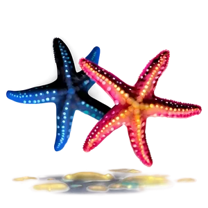 Starfish Outline Png Pmr PNG Image