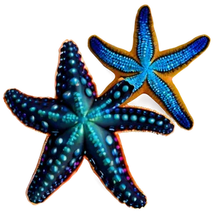 Starfish Silhouette Png 05242024 PNG Image