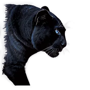 Stealthy Panthers In Night Png 06202024 PNG Image