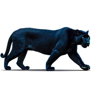 Stealthy Panthers In Night Png 74 PNG Image