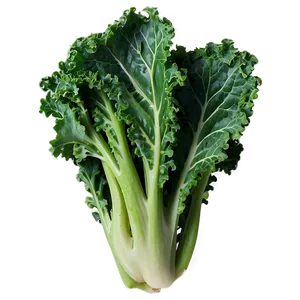 Steamed Kale Png Cwf PNG Image