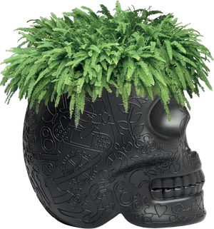 Steampunk Skull Planterwith Ferns PNG Image