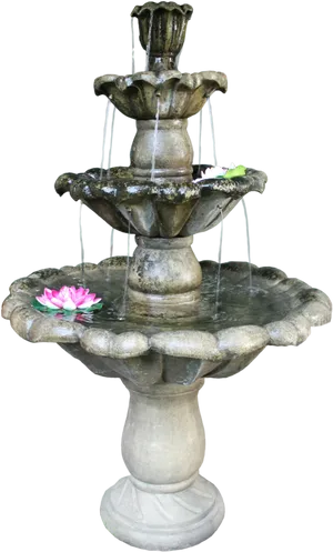 Stone Garden Fountainwith Lilies.png PNG Image