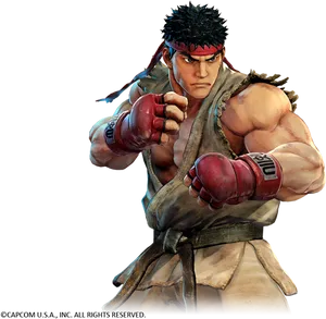 Street Fighter Character Readyfor Battle PNG Image