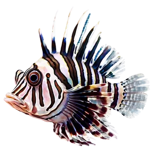 Striped Lionfish Artwork Png Mlt66 PNG Image