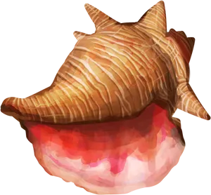 Striped Marine Conch Shell PNG Image