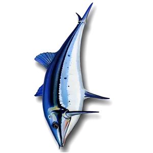 Striped Marlin Png 06242024 PNG Image