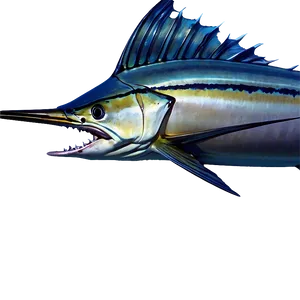 Striped Marlin Png 16 PNG Image