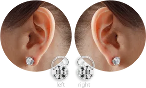 Studand Hoop Earrings Comparison PNG Image