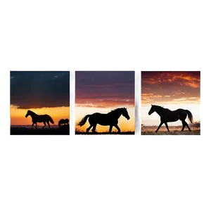 Stunning Horse Sunset Scenes Png 06292024 PNG Image