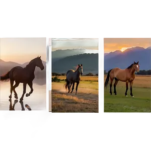 Stunning Horse Sunset Scenes Png 14 PNG Image