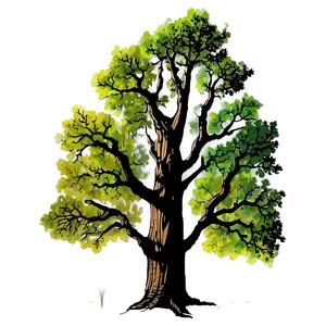 Sturdy Oak Tree Silhouette Png 48 PNG Image