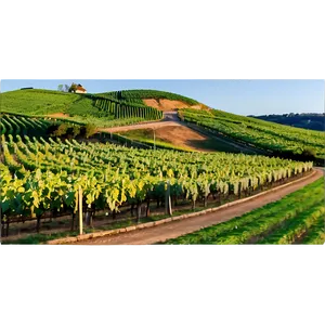 Stuttgart Vineyards Landscape Png 06112024 PNG Image