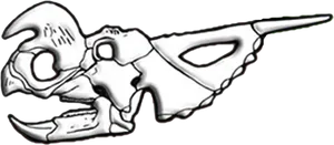 Stylized Animal Skull Drawing PNG Image