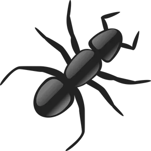 Stylized Ant Illustration PNG Image