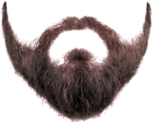 Stylized Beard Transparent Background.png PNG Image