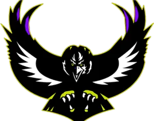 Stylized Black Raven Graphic PNG Image