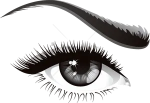 Stylized Blackand White Eye Illustration PNG Image