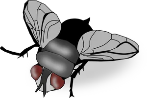 Stylized Blackand White Fly Illustration PNG Image