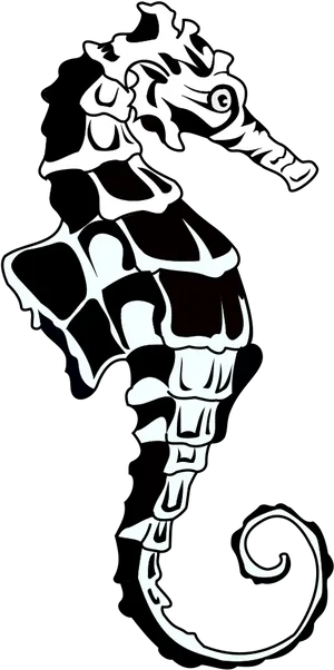 Stylized Blackand White Seahorse Illustration PNG Image